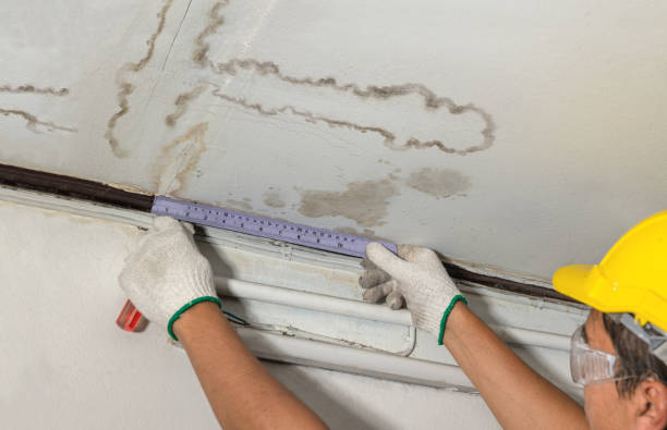 Reliable Basement Water Removal contractor in Williamstown, WV by Water Damage Irwin